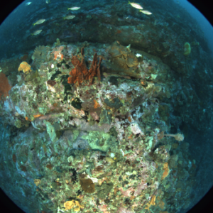 Seafloor imaging from floats