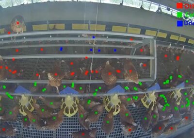 Australian Eggs: UTS Tech Lab’s AI revolution in bird welfare