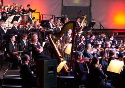 Improving Hearing Protection for Musicians: Testing the Goodear Acoustic Shield