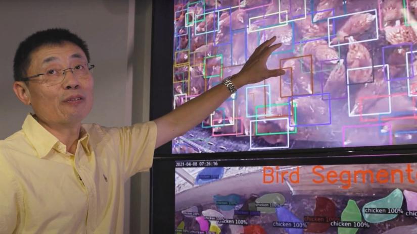 5G and AI Revolutionise Livestock Management